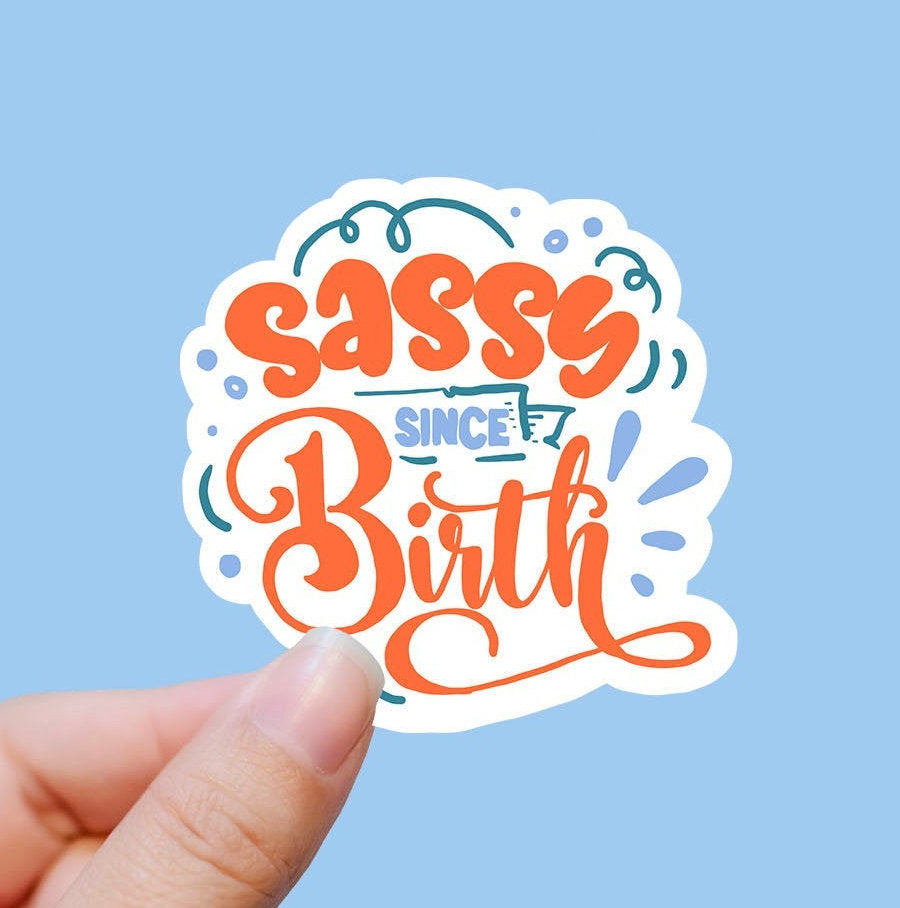Sarcastic Stickers for Women Funny Stickers for Adults Sassy