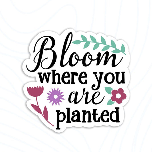 Bloom Where You Are Planted Sticker