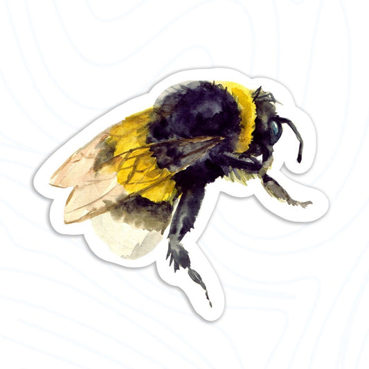 Watercolor bumble bee sticker