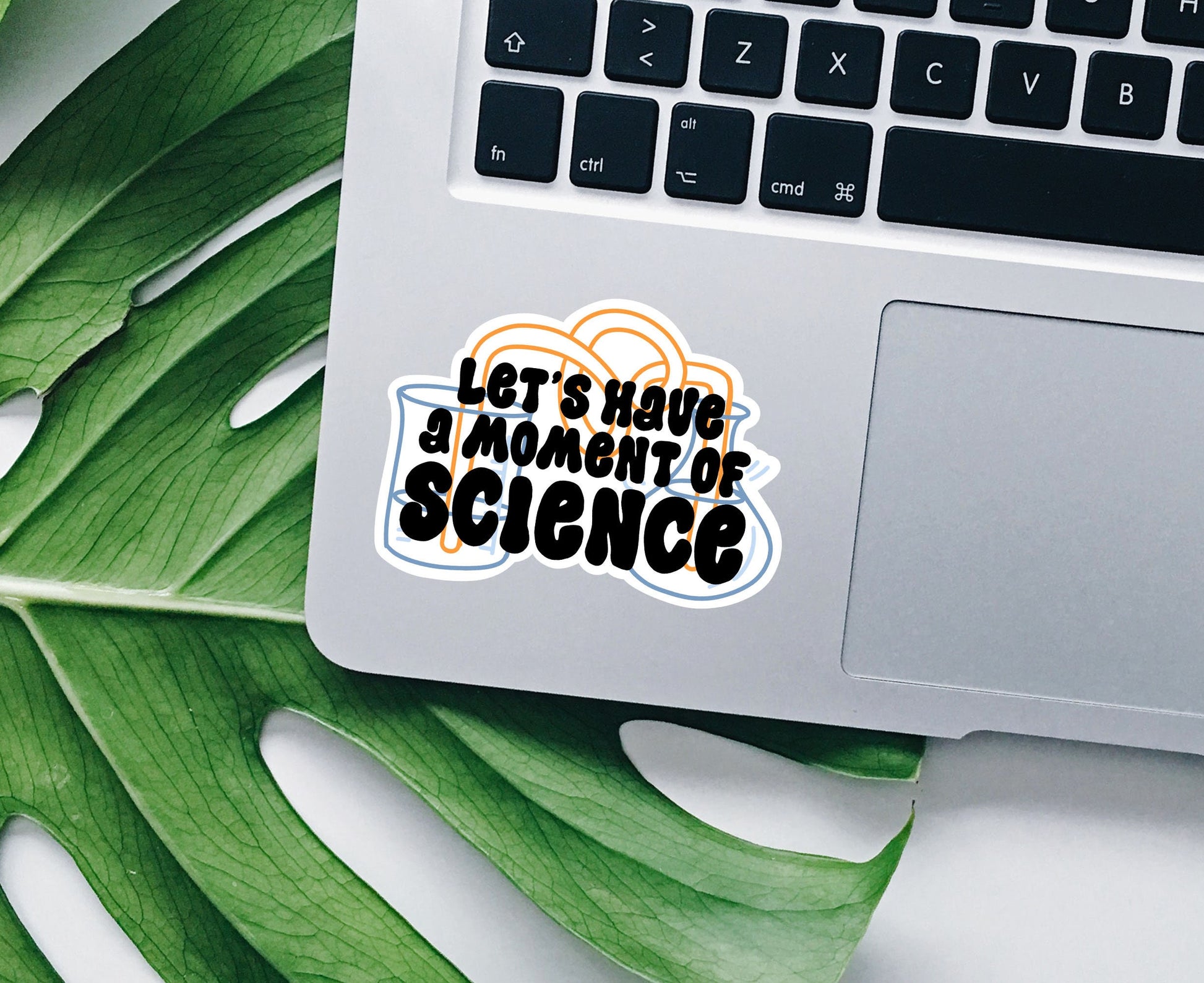 Let’s Have a Moment of Science vinyl sticker, funny stickers, science stickers, decals for geeks, laptop stickers, water bottle stickers