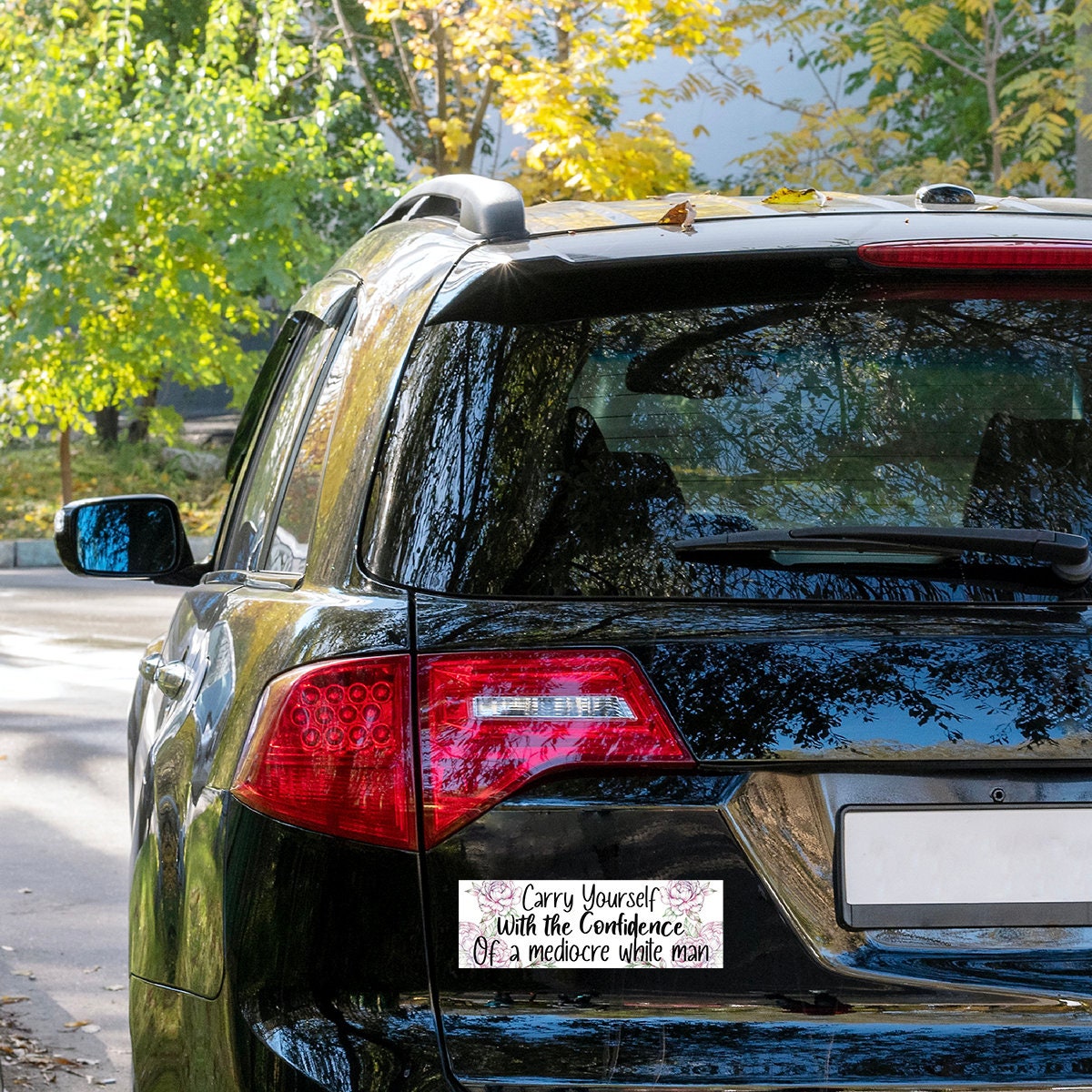 Carry Yourself With The Confidence Bumper Sticker and Magnet, funny bumper sticker, feminist, unhinged stickers, car magnets