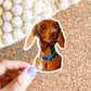 Portrait of a Golden Retriever vinyl Sticker