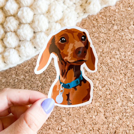 Dachshund  portrait vinyl Sticker