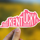 Kentucky state outline sticker, Kentucky, Best friend gift, Birthday gift, travel sticker, Laptop decal, MacBook decal