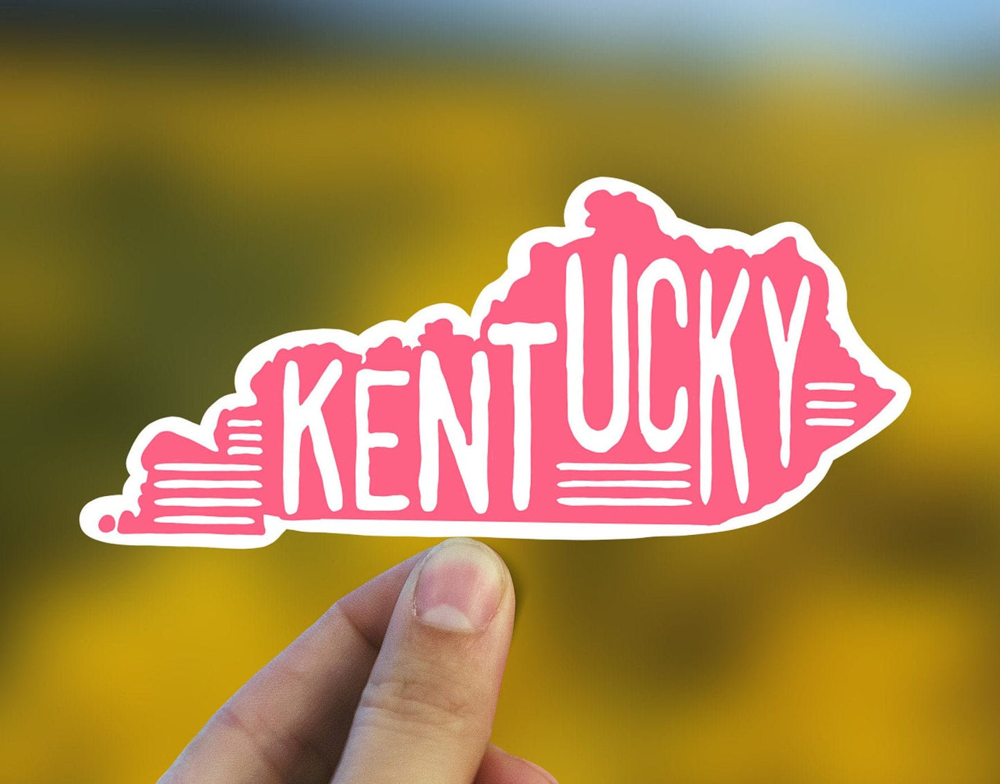 Kentucky state outline sticker, Kentucky, Best friend gift, Birthday gift, travel sticker, Laptop decal, MacBook decal