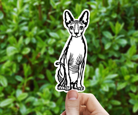 Sphinx cat vinyl sticker, hairless cat sticker, best friend gift, laptop sticker, Macbook decal, cat gift