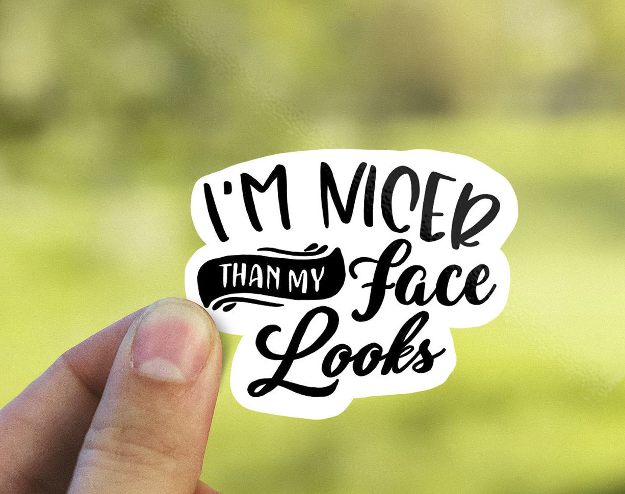 I’m nicer than my face looks sticker, rbf sticker, fun saying sticker, Macbook sticker, laptop sticker, waterproof flower sticker