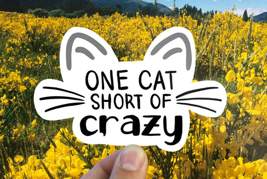 One cat away from crazy vinyl sticker, Crazy cat lady sticker, best friend gift, laptop sticker, Macbook decal, sarcastic gift