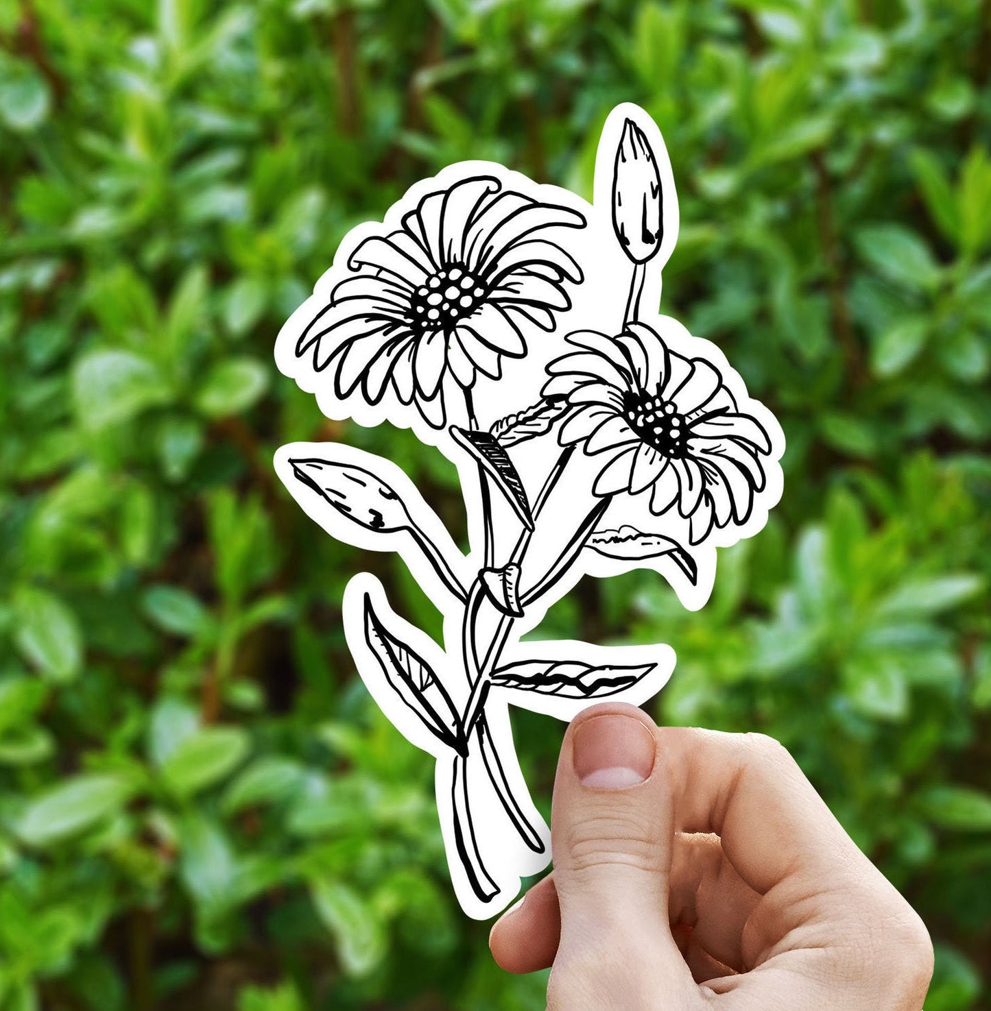 Daisies vinyl sticker, Illustrated flower sticker, trendy stickers, flower sticker, laptop sticker, waterproof flower sticker