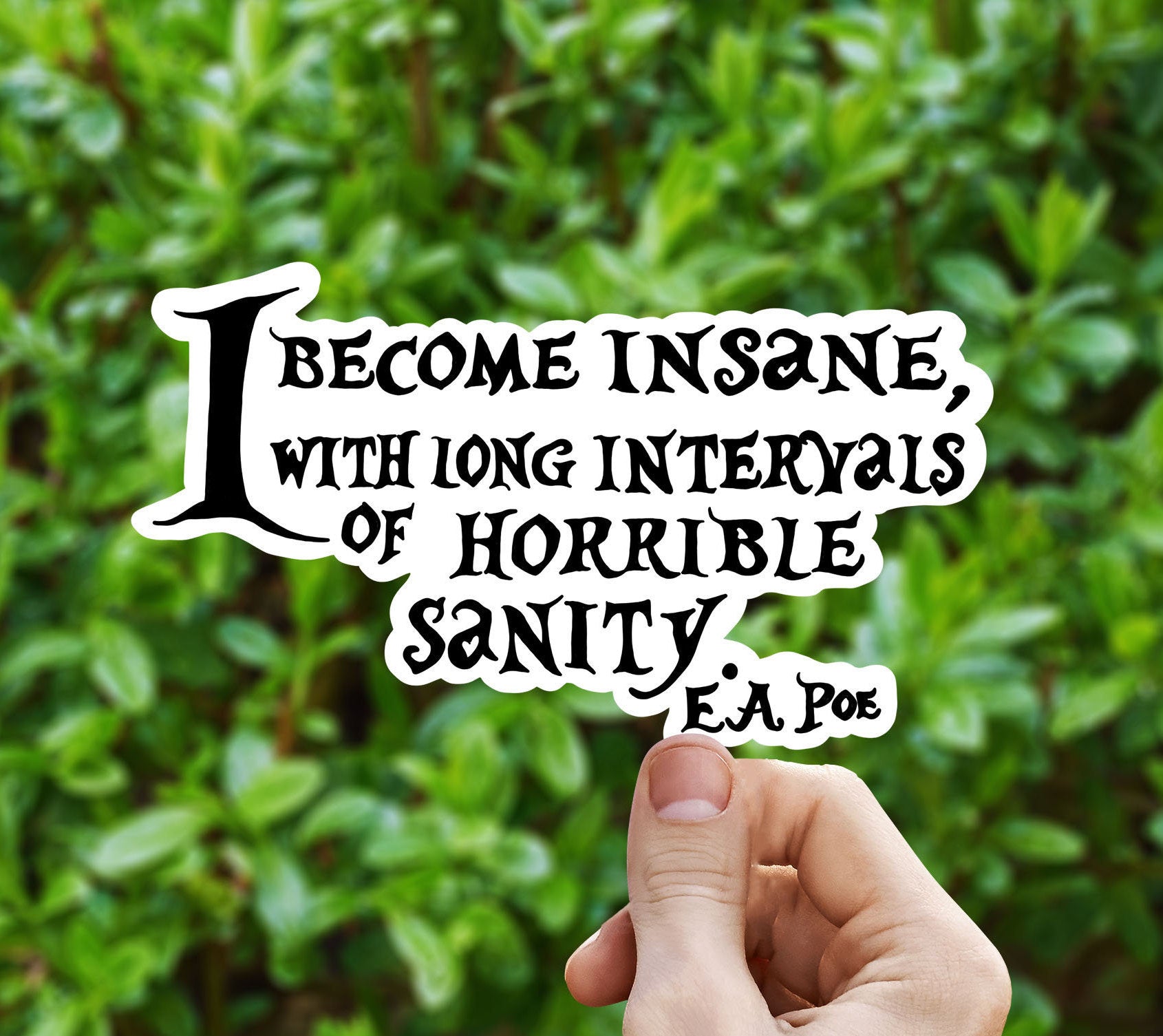 I become insane vinyl sticker, Edgar Allen Poe, Poe quote, gothic literature, book decals, yeti decal, laptop stickers