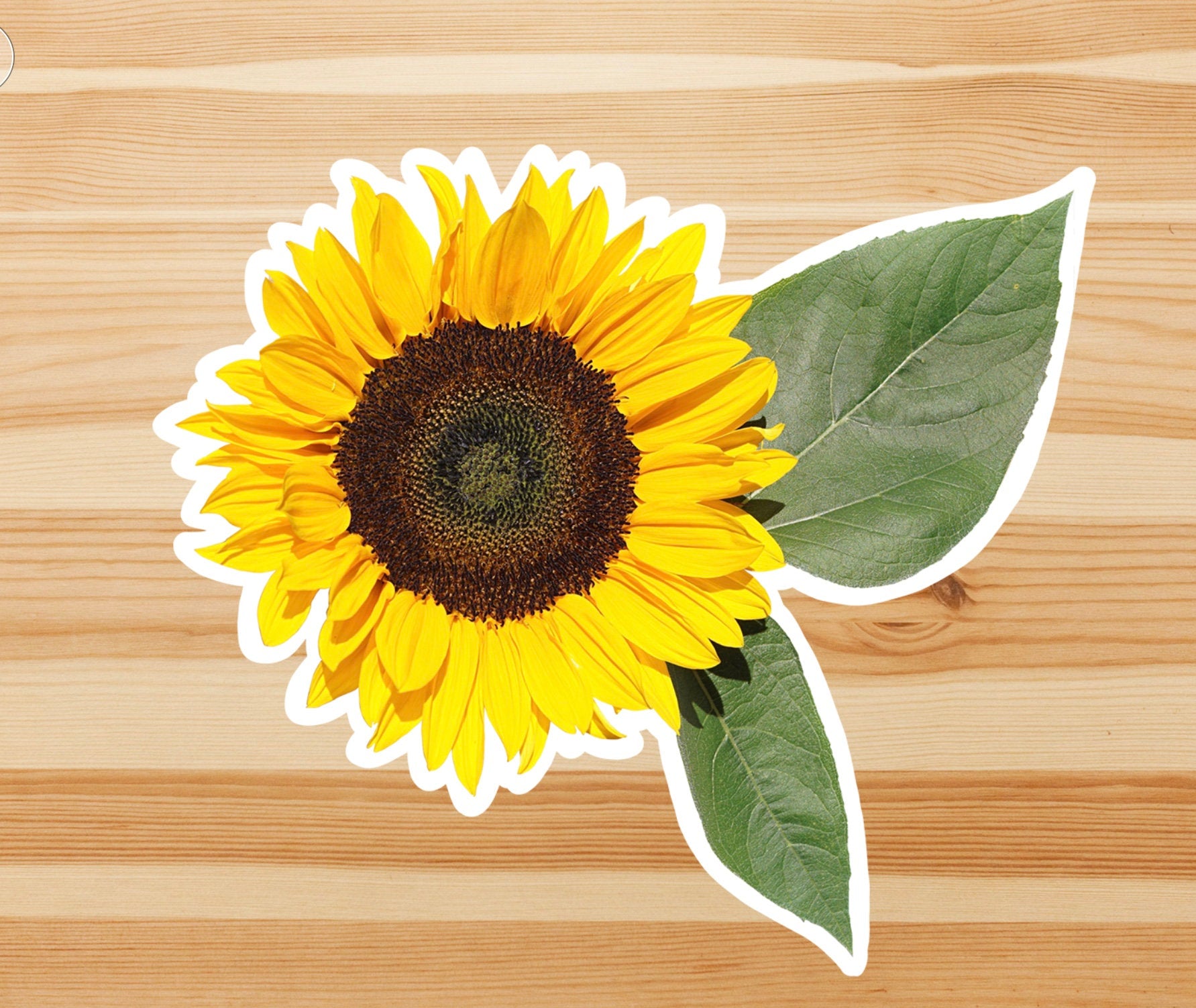 Realistic sunflower sticker, sunflower sticker, flower sticker, Macbook sticker, laptop sticker, waterproof flower sticker