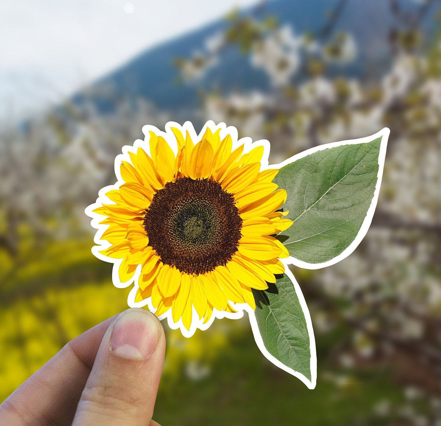 Realistic sunflower sticker, sunflower sticker, flower sticker, Macbook sticker, laptop sticker, waterproof flower sticker