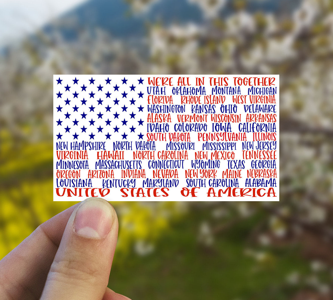 50 states American flag vinyl Sticker, best friend gift, USA, United States, MacBook decal, laptop sticker, waterproof sticker