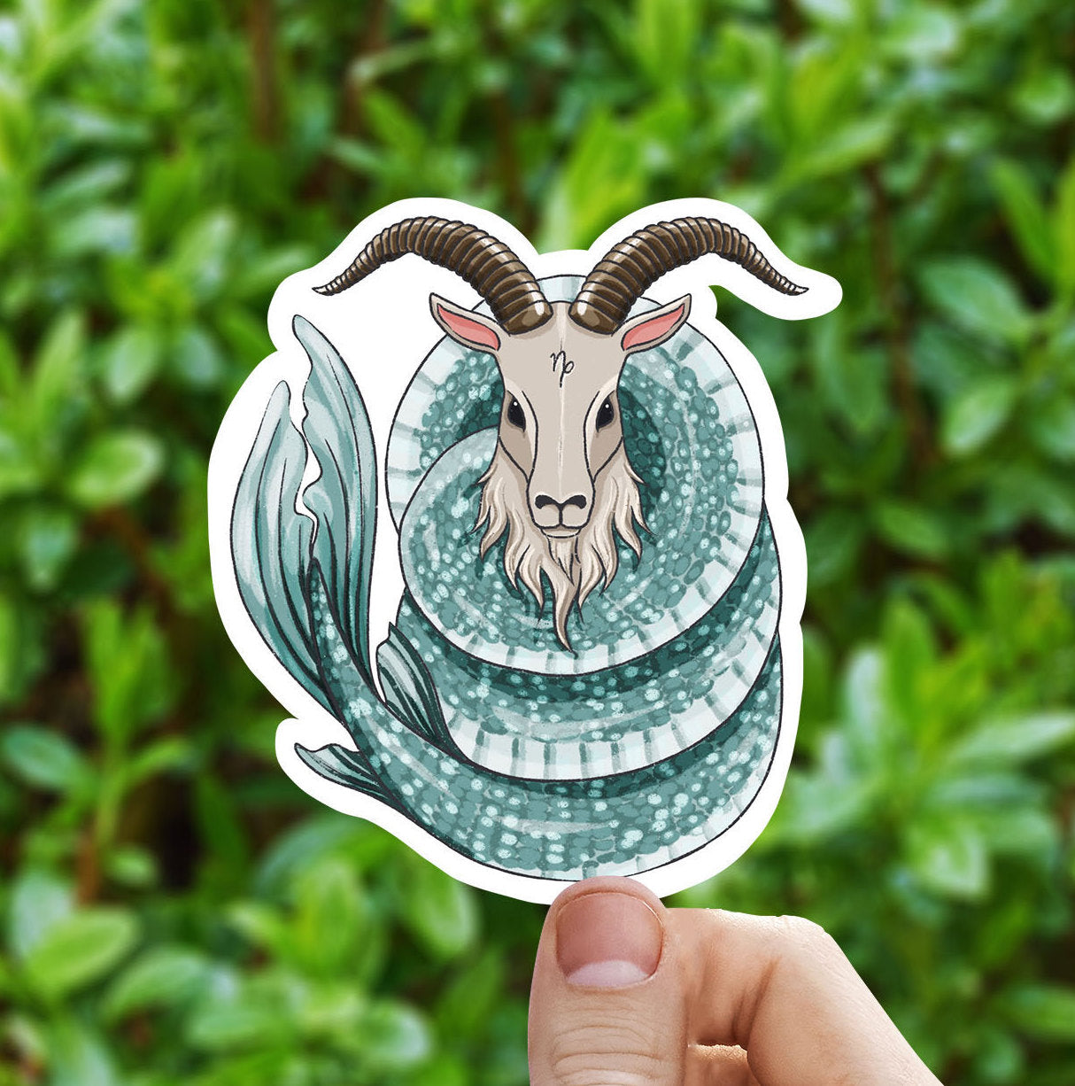 Celestial Capricorn sticker, Capricorn zodiac sticker, astrology sticker, zodiac sticker, star signs, Macbook sticker, laptop decal