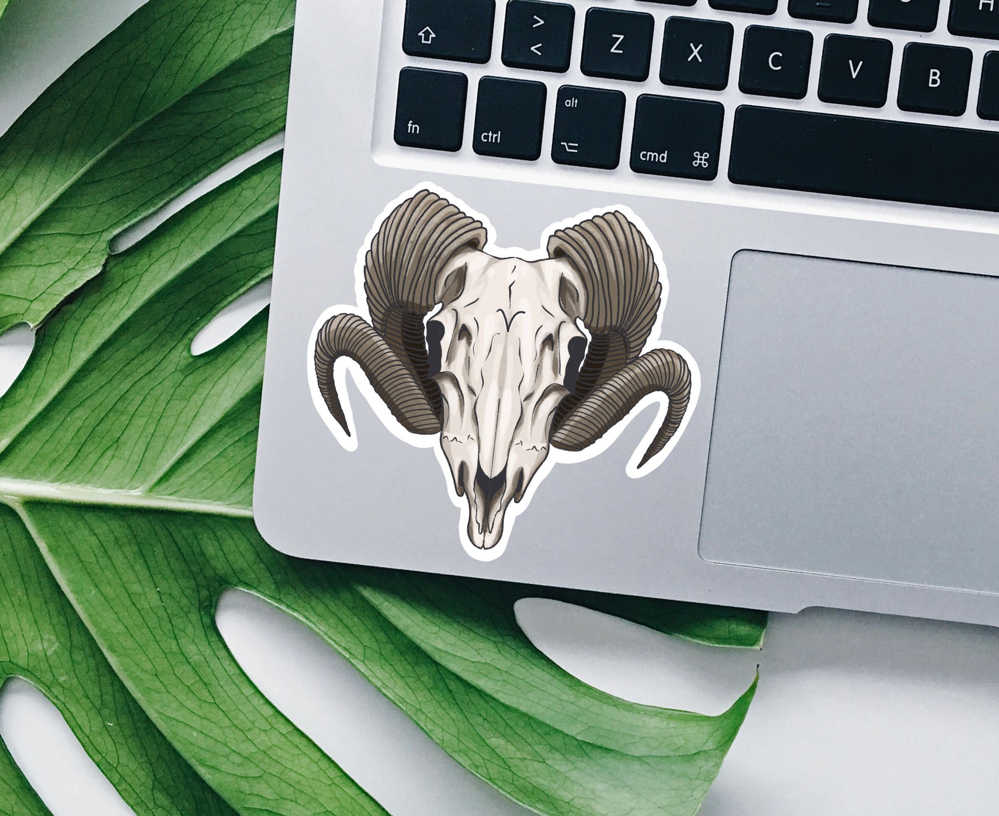 Celestial Aries sticker, Aries zodiac sticker, astrology sticker, zodiac sticker, star signs, Macbook sticker, laptop decal