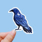 Night raven vinyl Sticker, bird stickers, tumbler decals, MacBook decal, laptop sticker, waterproof sticker