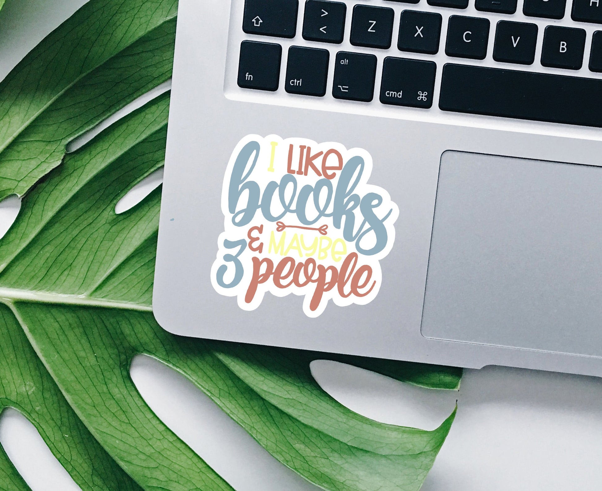 I like books and maybe 3 people vinyl sticker, book lover gift, glossy laptop sticker, book decals,