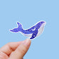 Galaxy whale vinyl sticker, evil eye, whale stickers, best friend gift, laptop stickers, laptop decals, crystal gift