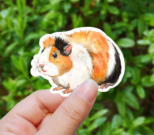 Guinea Pig watercolor  vinyl sticker, Guinea Pig sticker, best friend gift, laptop sticker, , sarcastic gift