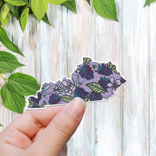 Kentucky blackberry sticker, Kentucky decal, waterproof state sticker, travel sticker, Laptop decal,